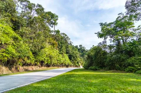 Asphalt road Stock Photos
