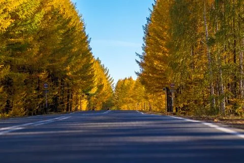 The asphalt road Stock Photos