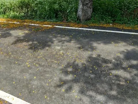 Asphalt Road Stock Photos