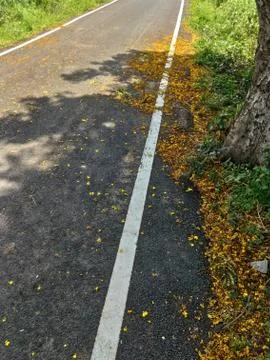 Asphalt Road Stock Photos
