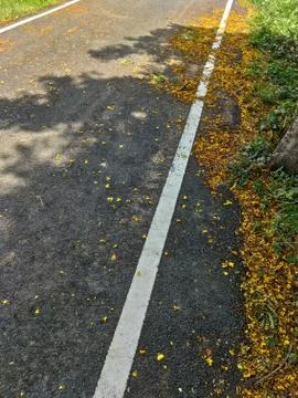 Asphalt Road Stock Photos