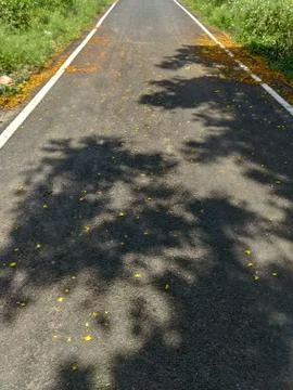 Asphalt Road Foto stock