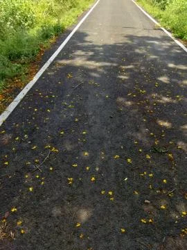 Asphalt Road Stock Photos