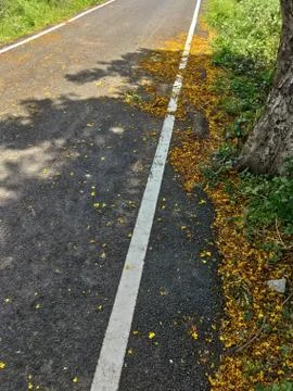 Asphalt Road Stock Photos