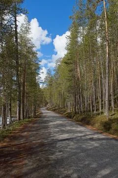 Asphalt road. Stock Photos