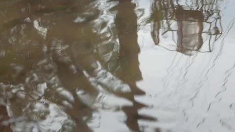 Asphalt road with raindrops falling. asphalt road with puddles after rain Stock Footage 304770723