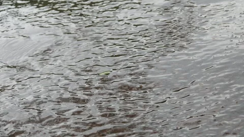 Asphalt road with raindrops falling. asphalt road with puddles after rain Stock Footage 304770734