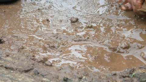 Asphalt road with raindrops falling. asphalt road with puddles after rain Stock Footage 304771433
