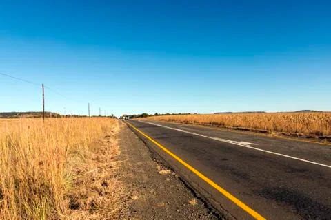 Asphalt Road Running Through Dry Orange Winter Mountain Landscape Stock Photos