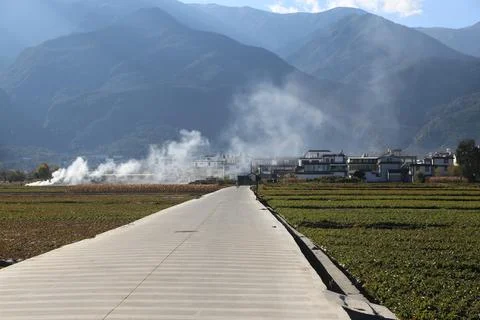 The asphalt road runs through the fields of tea, with white smoke rising fr.. Stock Photos