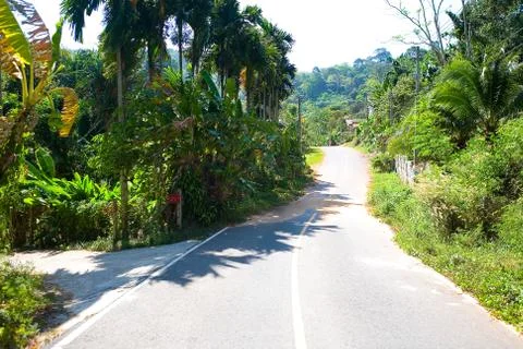 Asphalt road with a solid marking line. Stock Photos