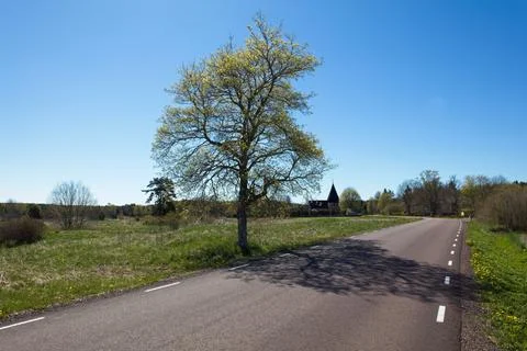 Asphalt road in spring. Stock Photos
