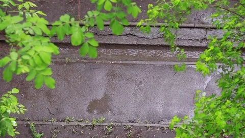 Asphalt road, stream under the rain on a summer day. View from above Stock Footage 108453389