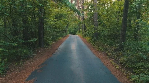 Asphalt road in summer forest Stockbeeldmateriaal 112432758