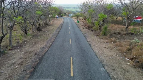 Asphalt road surrounded by dry trees Stock Footage 345201658