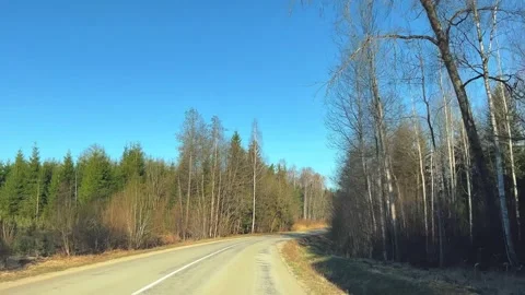 Asphalt Road Through Coniferous Forest Under Clear Blue Sky Stockbeeldmateriaal 334190125