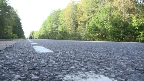 Asphalt road through the deep forest Stock Footage 98815496