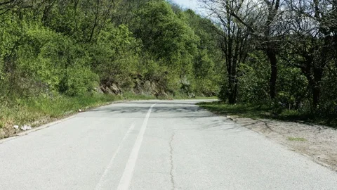 Asphalt road through the forest Stock Footage 129203479