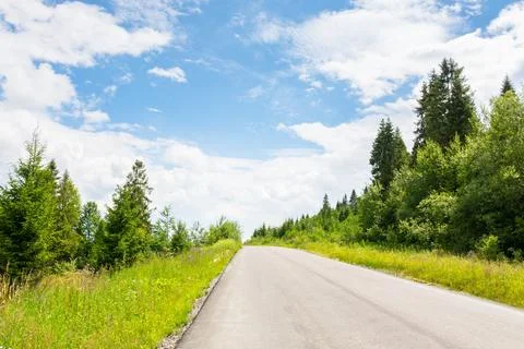 Asphalt road through forest Stock Photos