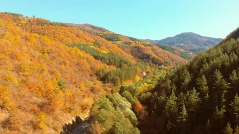 Asphalt road turn right surrounded by green yellow autumn nature. Road trip c Stock Footage 204733256