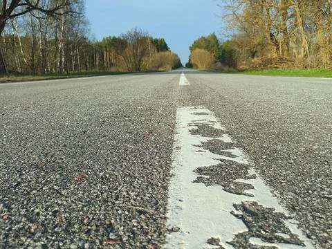 Asphalt road with white dashed line perspective low angle view in forest Fotos Stock