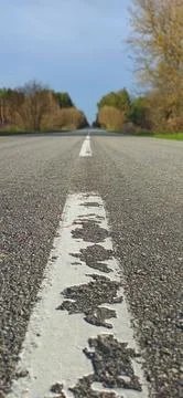 Asphalt road with white dashed line perspective low angle view in forest Fotos Stock