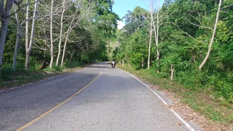 Asphalt Road Windings Through Lush Green Forest With Tree Shadows Vidéo 334635820