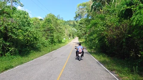 Asphalt Road Windings Through Lush Green Forest With Tree Shadows Vidéo 334635912