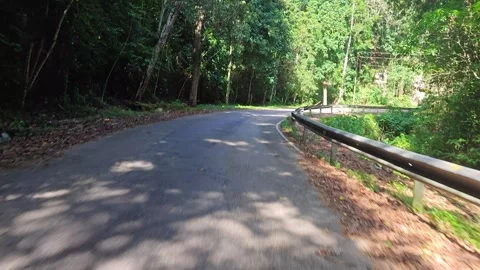 Asphalt Road Windings Through Lush Green Forest With Tree Shadows Vidéo 334635973
