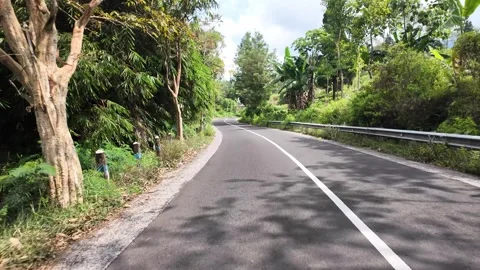 Asphalt road winds through green jungle Stock Footage 345151823