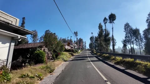 Asphalt road winds through green trees Stock Footage 345194724