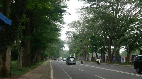 Asphalt roads and lush trees with passing vehicles Stock Footage 301490692