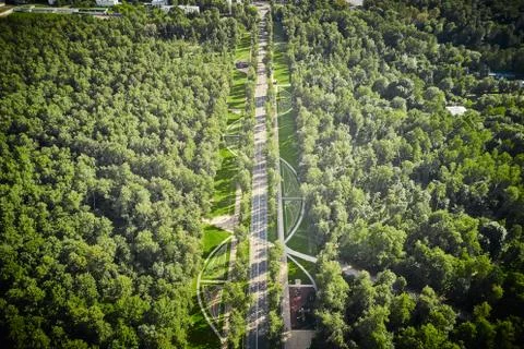 Asphalt single road inside big garden. View from above. Avenue in forest. Summer Stock Photos