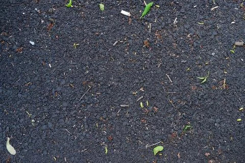 Asphalt surface with scattered small green leaves twigs and debris Stock-Fotos
