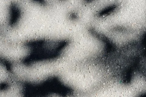 Asphalt surface with the shadow of tree branches on a bright sunny day close Stock Photos