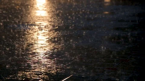 Asphalt under heavy rain during the night Stock Footage 81148407