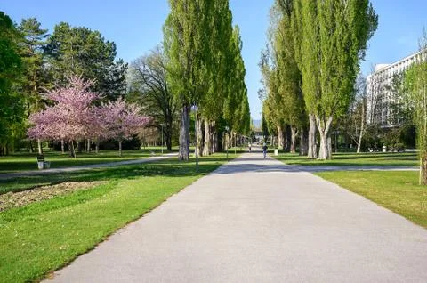 Asphalt walk through park on spa island in Piestany (SLOVAKIA) Foto stock