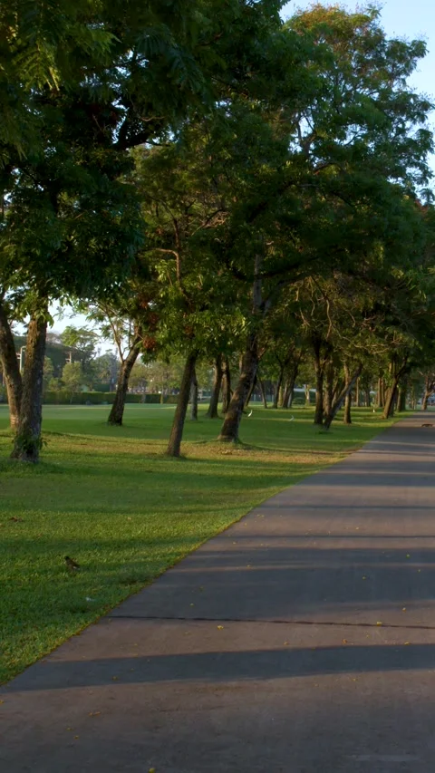 Asphalt Walking Path Through Lush Tropical Public Park in Thailand Stock Footage 338421264
