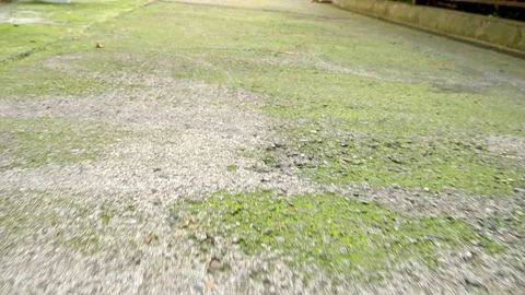 Asphalt while driving a vehicle on it. view from above Stock Footage 115059538