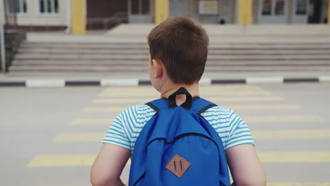 Asphalt zebra crossing, school road, student happy family road, green light Stock Footage 245551553