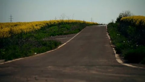 Asphalted Country Road Through Rapeseed Field Stock Footage