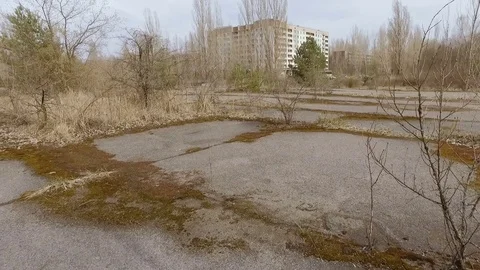 The asphalted patch of the yard is covered with grass Vídeo Stock 74730113