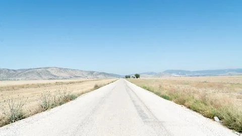 Asphalted road in a deserted field, the road goes to the horizon Stock Photos