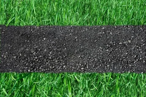 Asphalted road on green grass Stock Photos