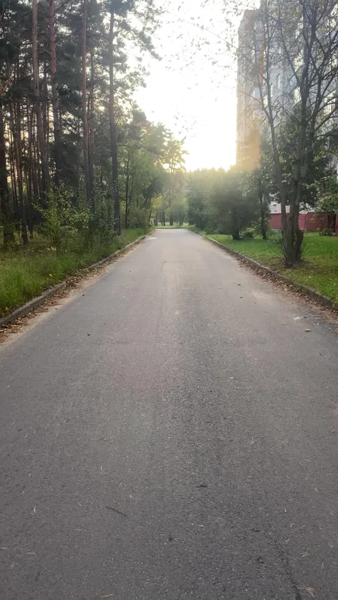 Asphalted road. Sunset. Vertical video Stock Footage 289663131