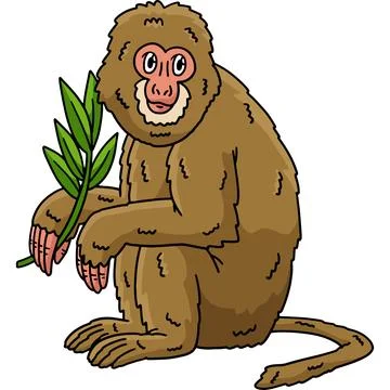 Assamese Macaque Monkey Cartoon Colored Clipart イラスト素材