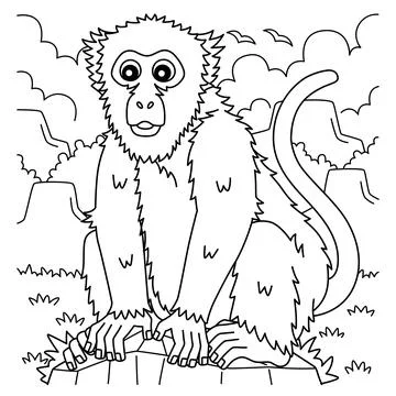 Assamese Macaque Monkey Coloring Page for Kids イラスト素材