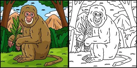 Assamese Macaque Monkey Coloring Page Illustration Stock Illustration