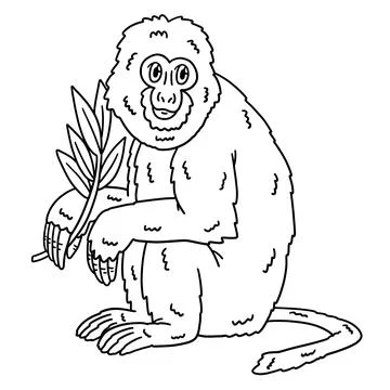 Assamese Macaque Monkey Isolated Coloring Page Stock Illustration