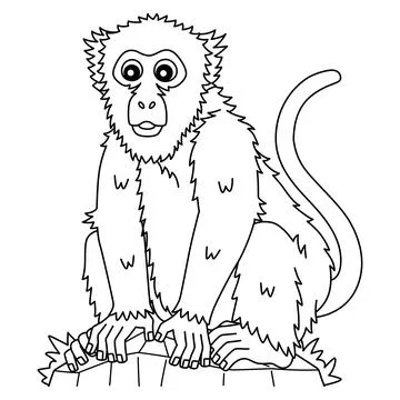 Assamese Macaque Monkey Isolated Coloring Page Stock Illustration